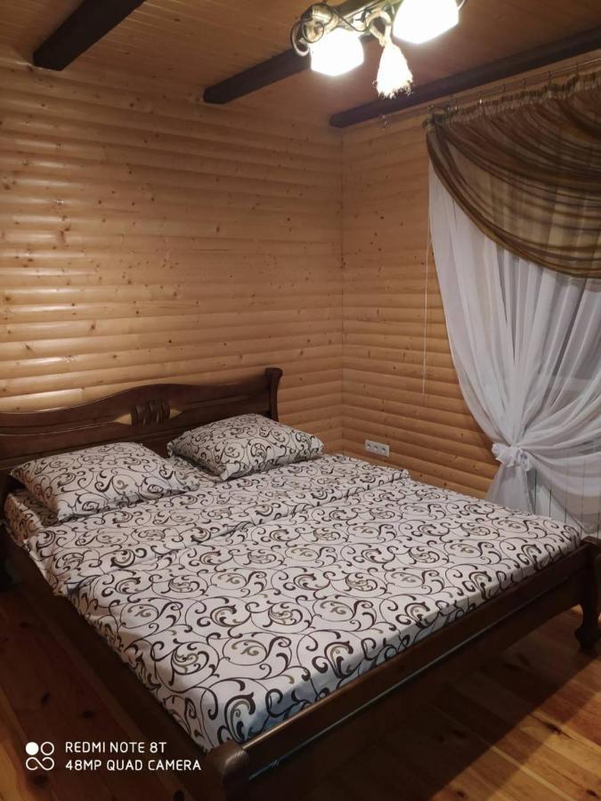 Willa Карпатські Зорі Pilipets Zewnętrze zdjęcie