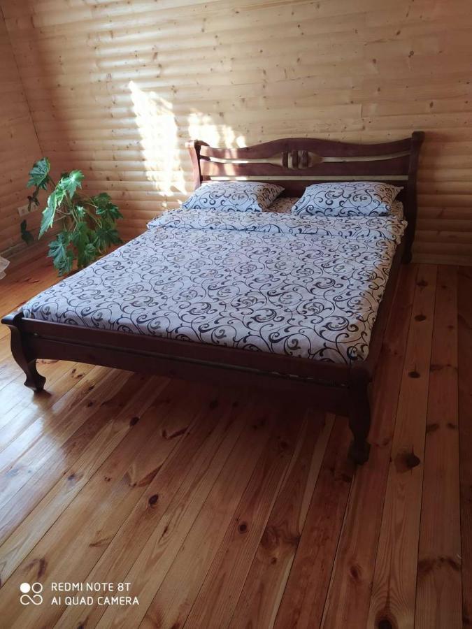Willa Карпатські Зорі Pilipets Zewnętrze zdjęcie